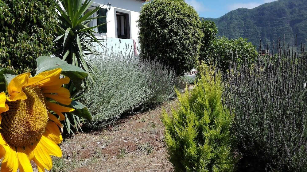 Фото Grannys Farm