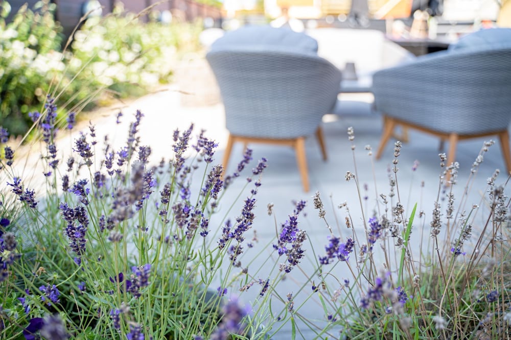 Фото Hotel Marie