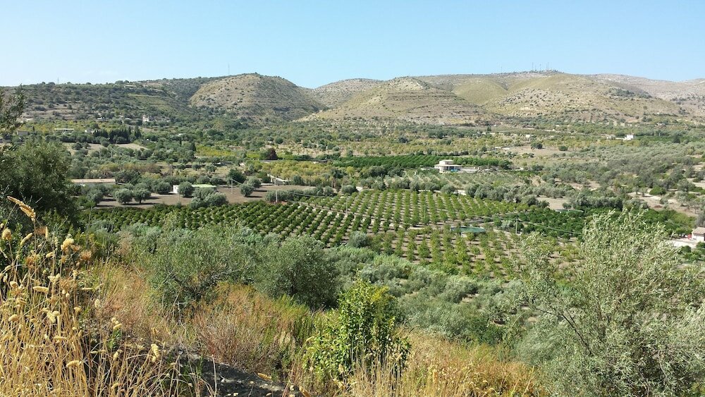 Фото Iuta Glamping & Farm