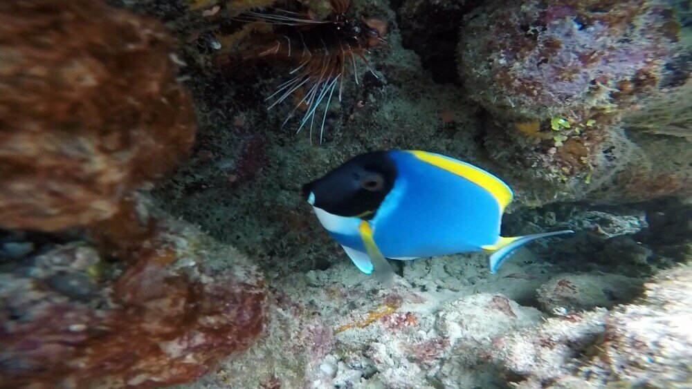 Фото Casa Enjoy Maldives