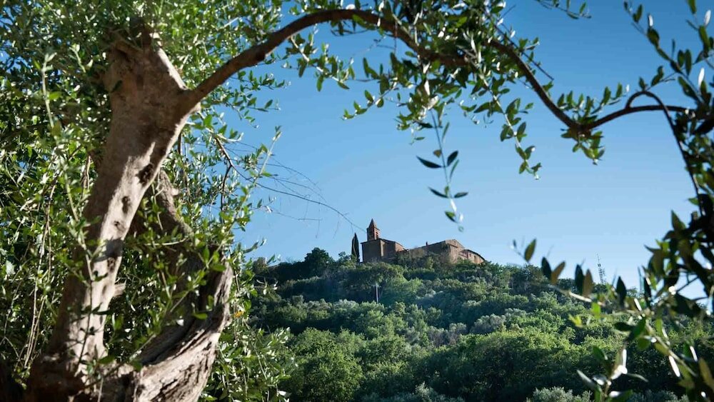 Фото Vallicella Glamping Resort