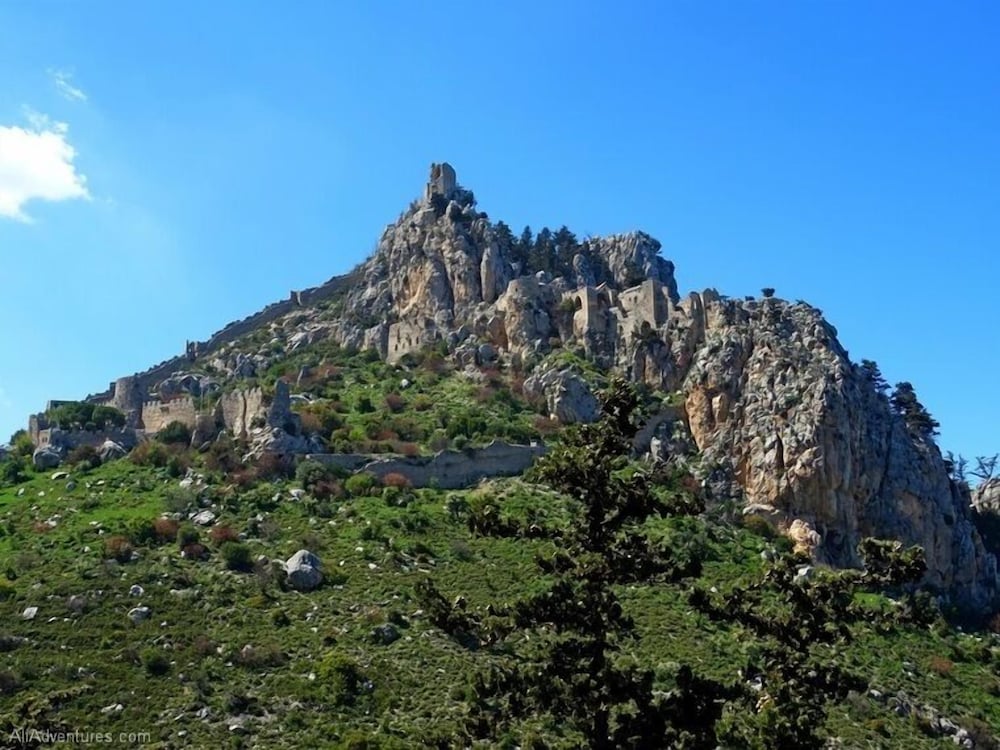 Фото Oscar Resort Hotel