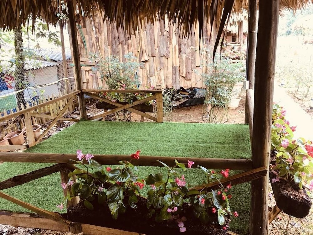 Фото Homestay Vuon Hong Co