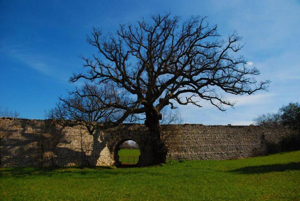 Фото Tenuta Deserto