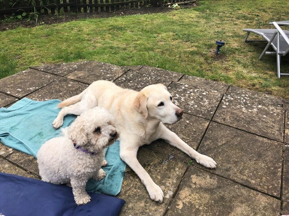 Фото Sheephouse Manor