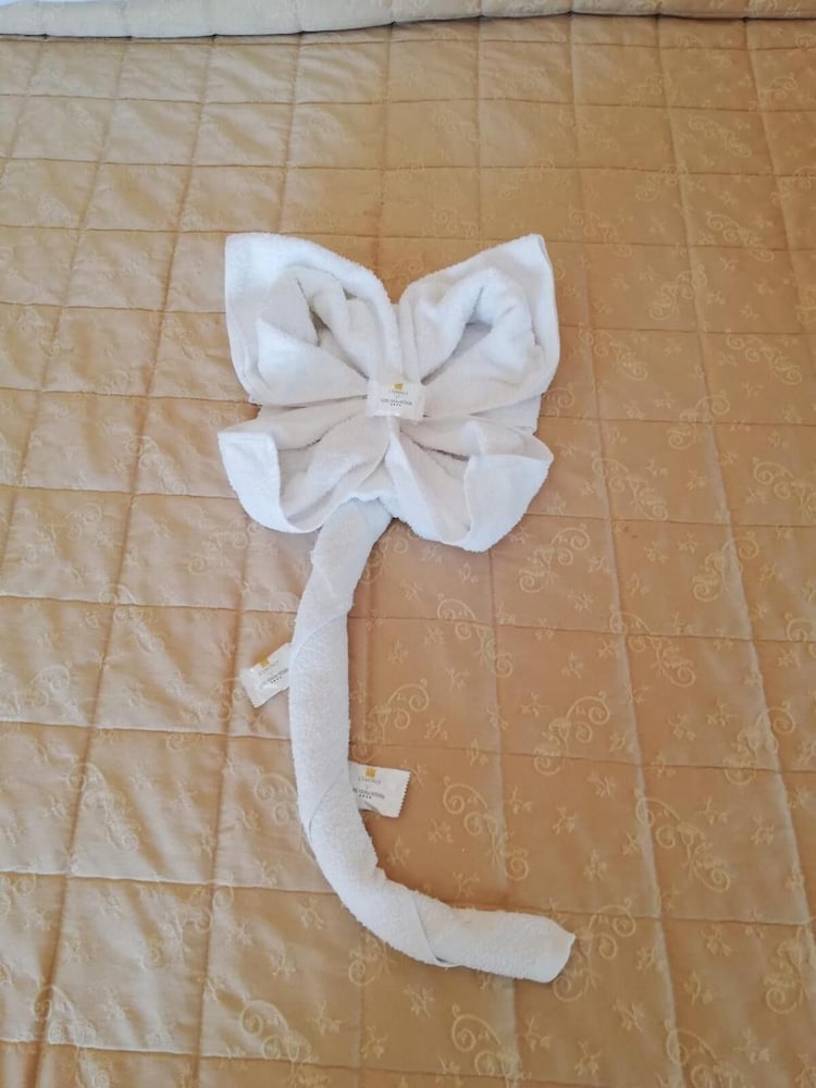 Фото Hotel Residence Maria Grazia