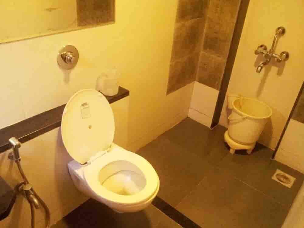 Фото Hotel sangam