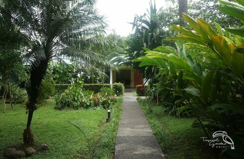 Гостиница Hotel Tropical Garden