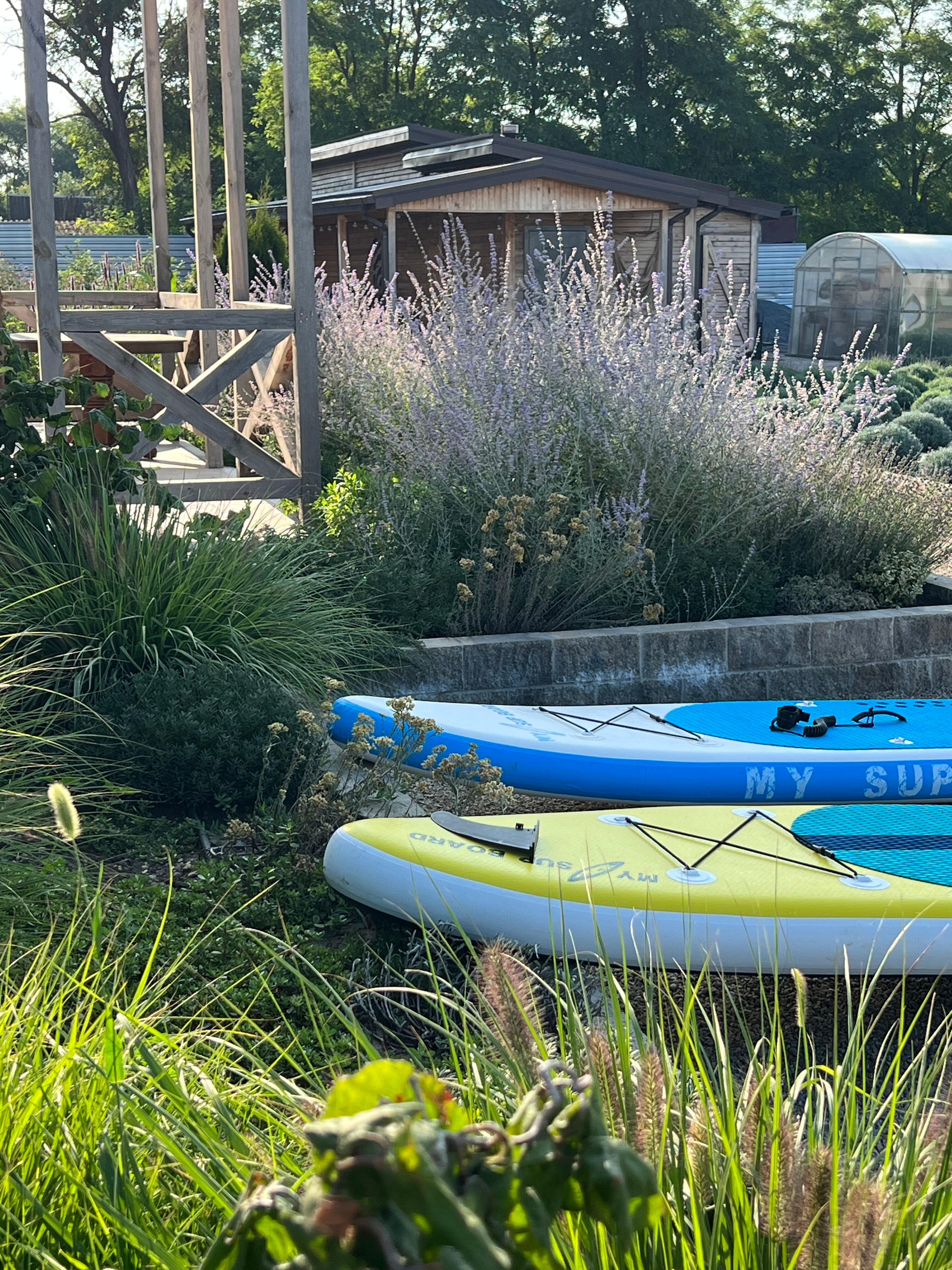 Фото Лавандовые холмы