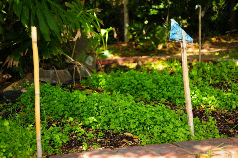 Фото The Salt House