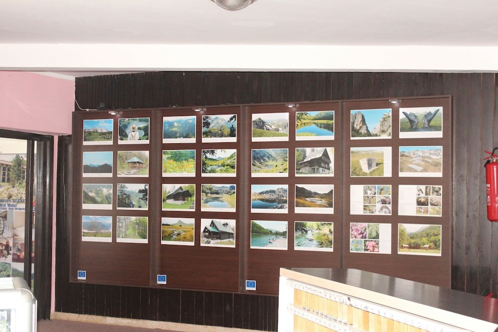 Фото Hotel Mladost