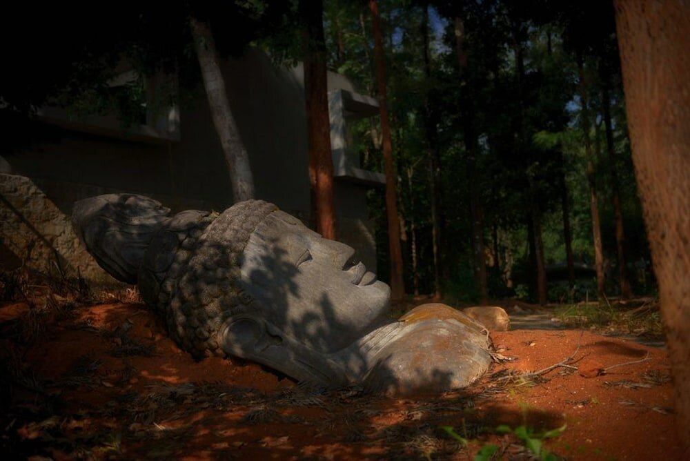 Фото Java Rain Resorts