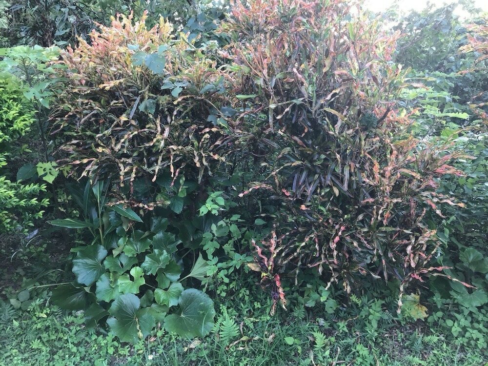 Фото Vacation Rental Kaniya