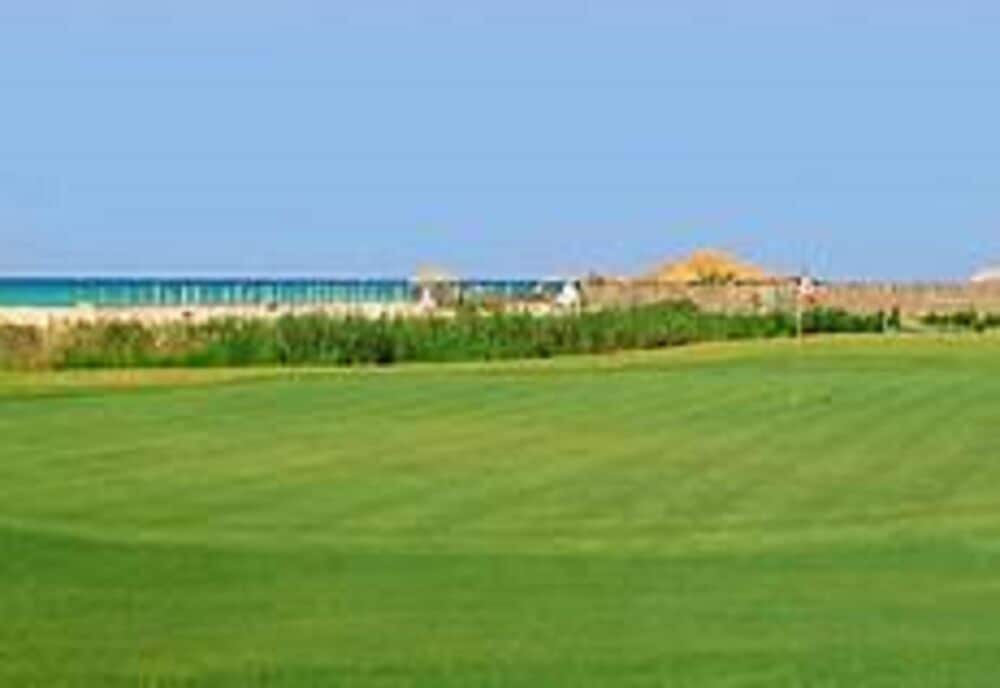 Фото Hôtel Les Palmes d'Or