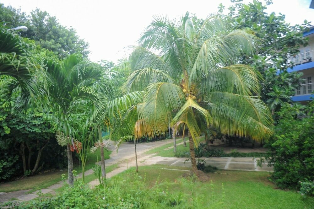 Фото Tranquility Cove