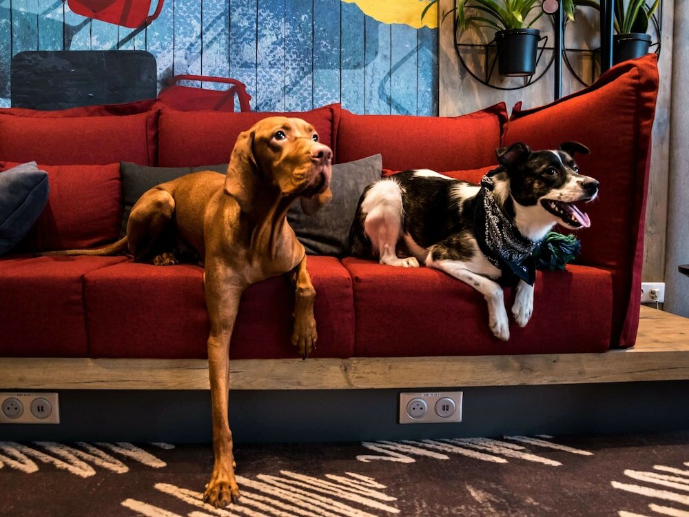 Фото Ibis Vilnius Centre