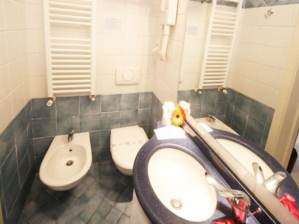 Фото Hotel Ardesia