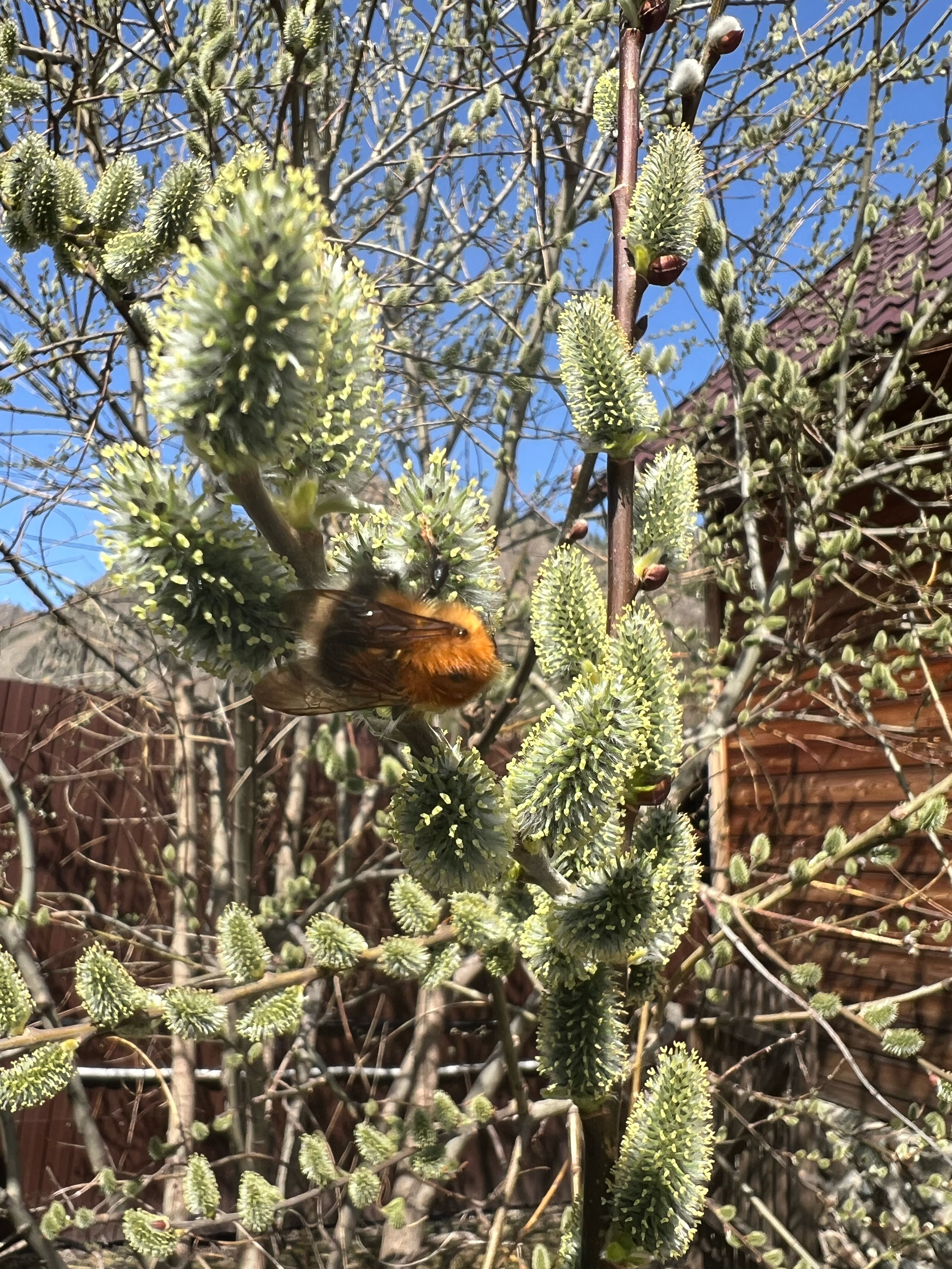 Фото Дежавю