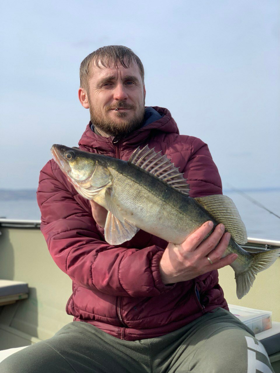 Фото Золотое