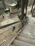 Booking Office (Tbilisi, Botanical Garden), other cash desks