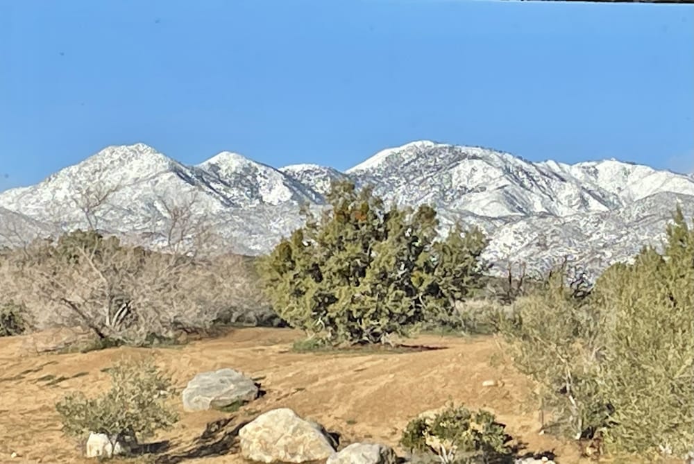 Фото Starlight Boutique Hotel