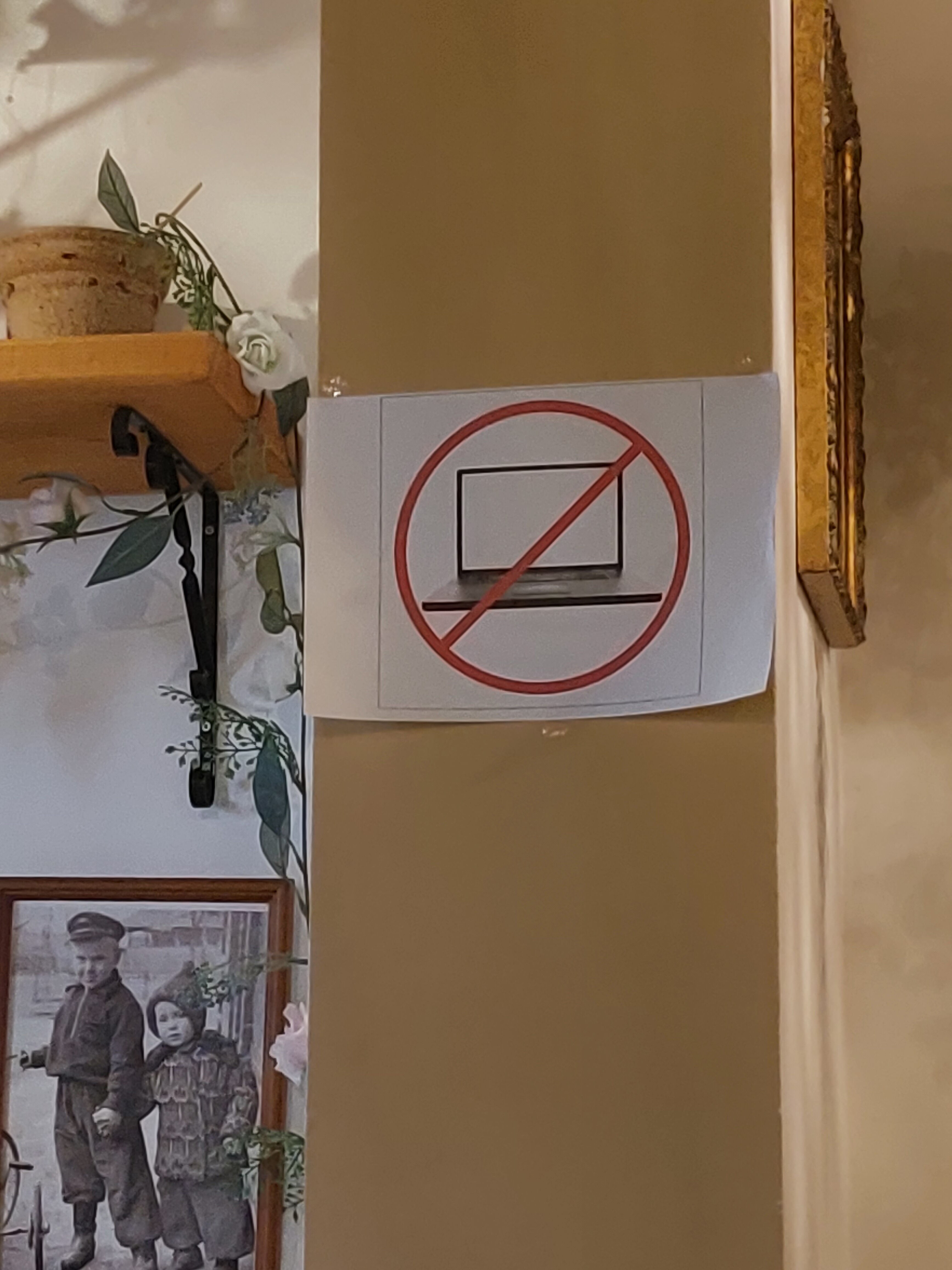 Фото Иван-чай