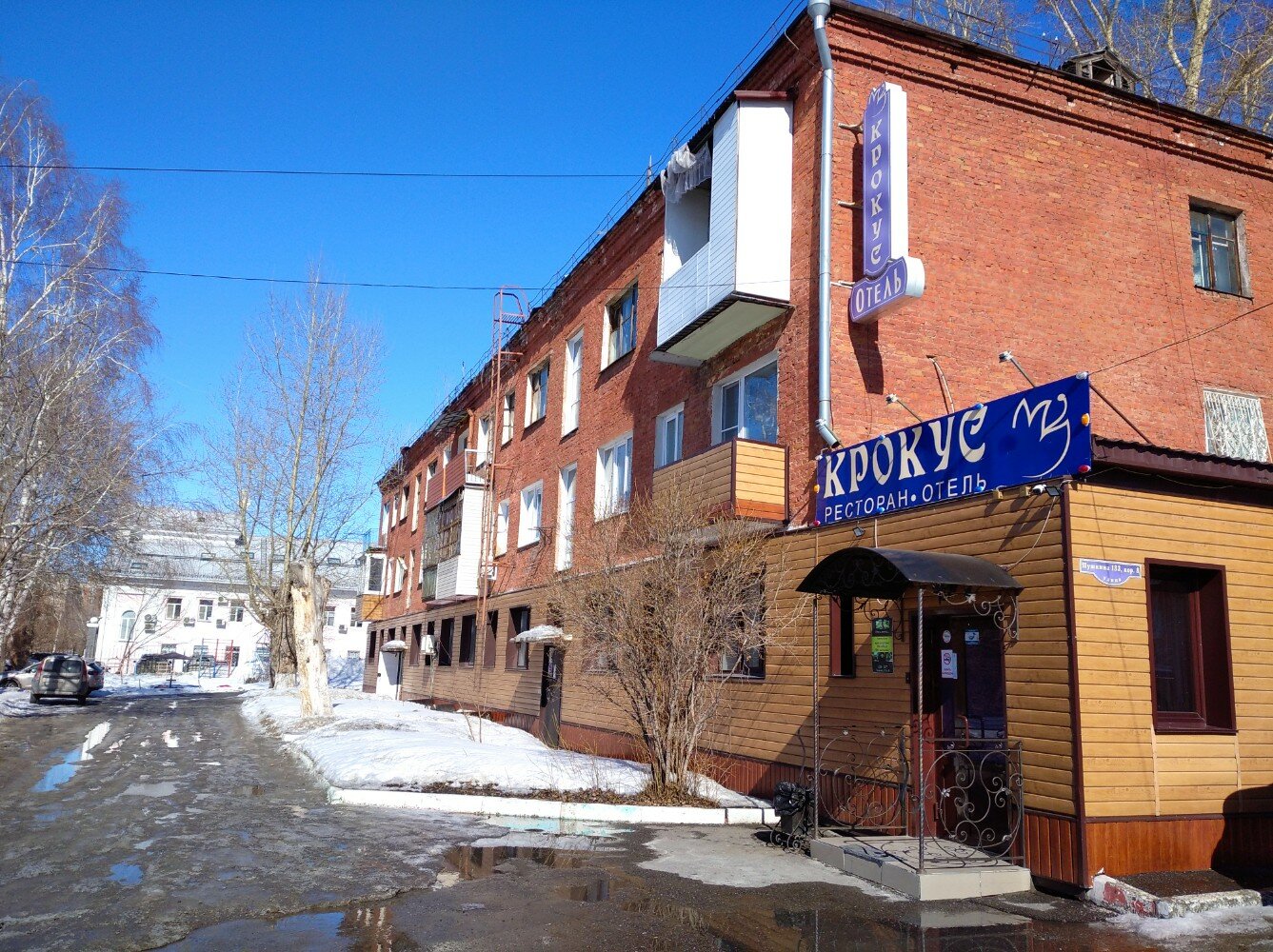 Фото Крокус