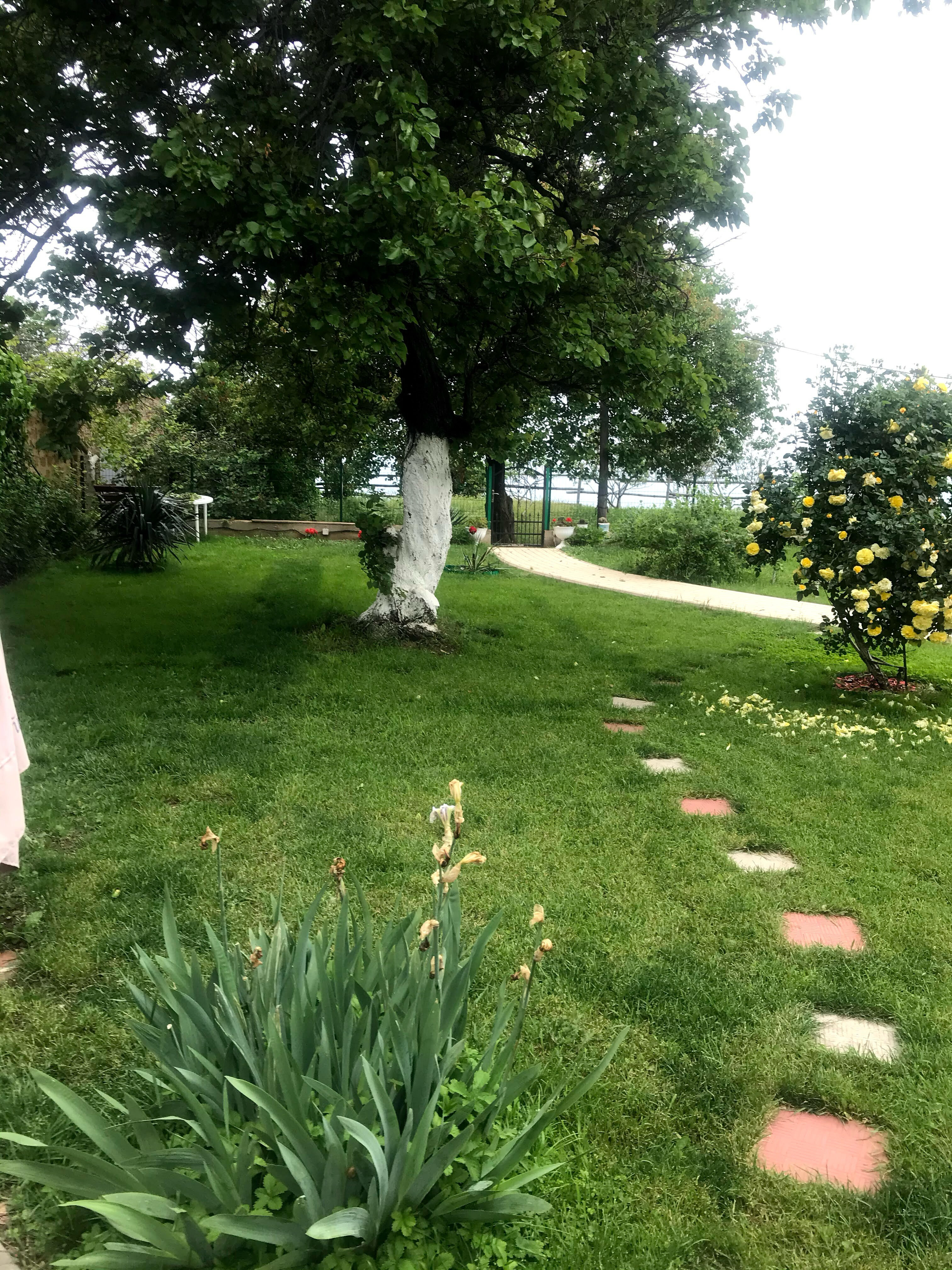 Фото Райский уголок