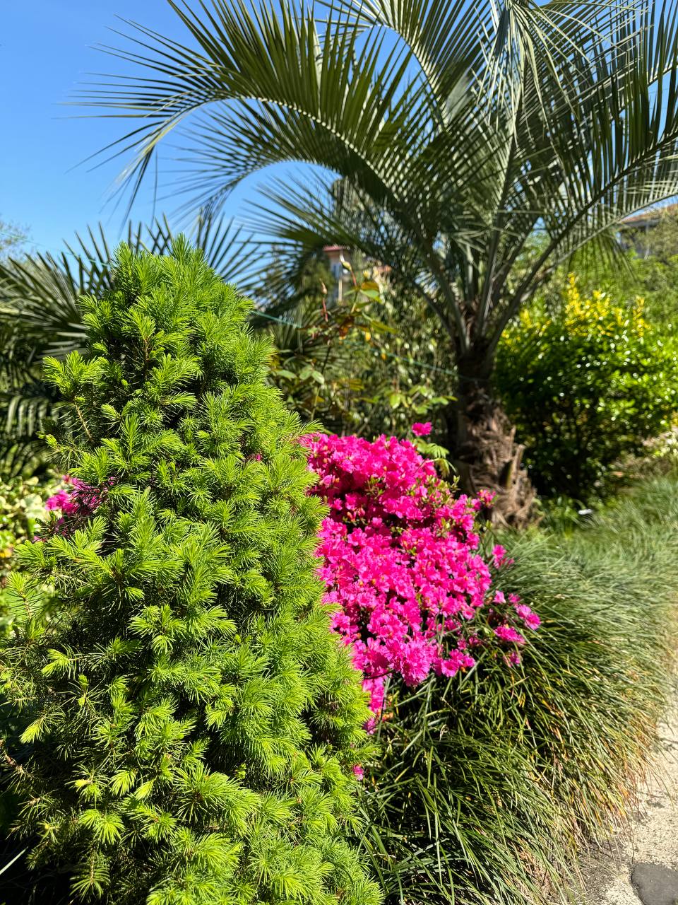 Фото SV Hotel Batumi