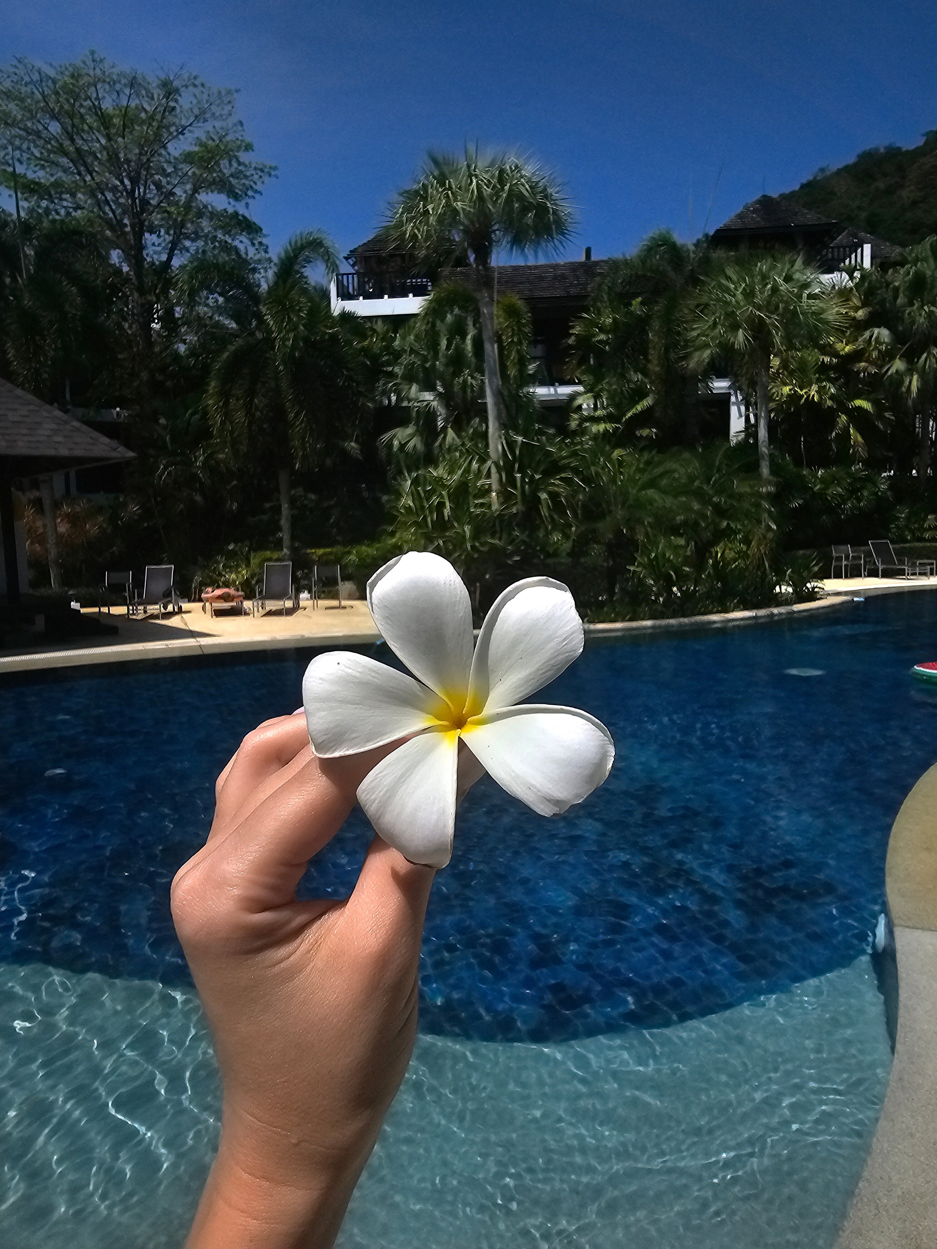 Фото Bangtao Beach Garden