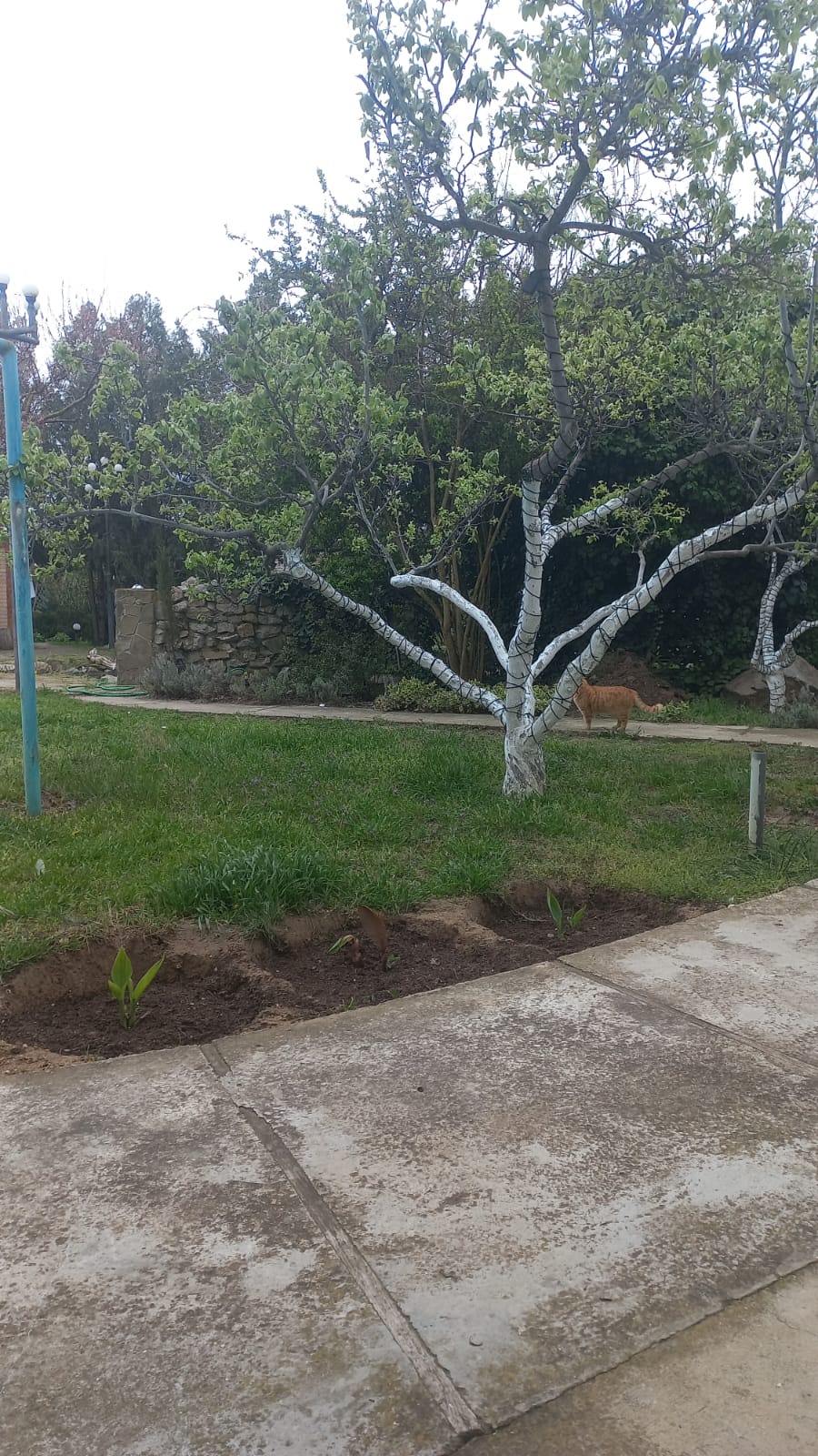 Фото Казантип центр