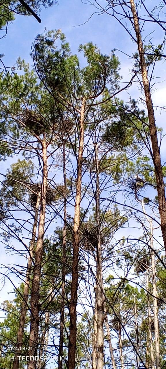 Фото У Горы Волчиха