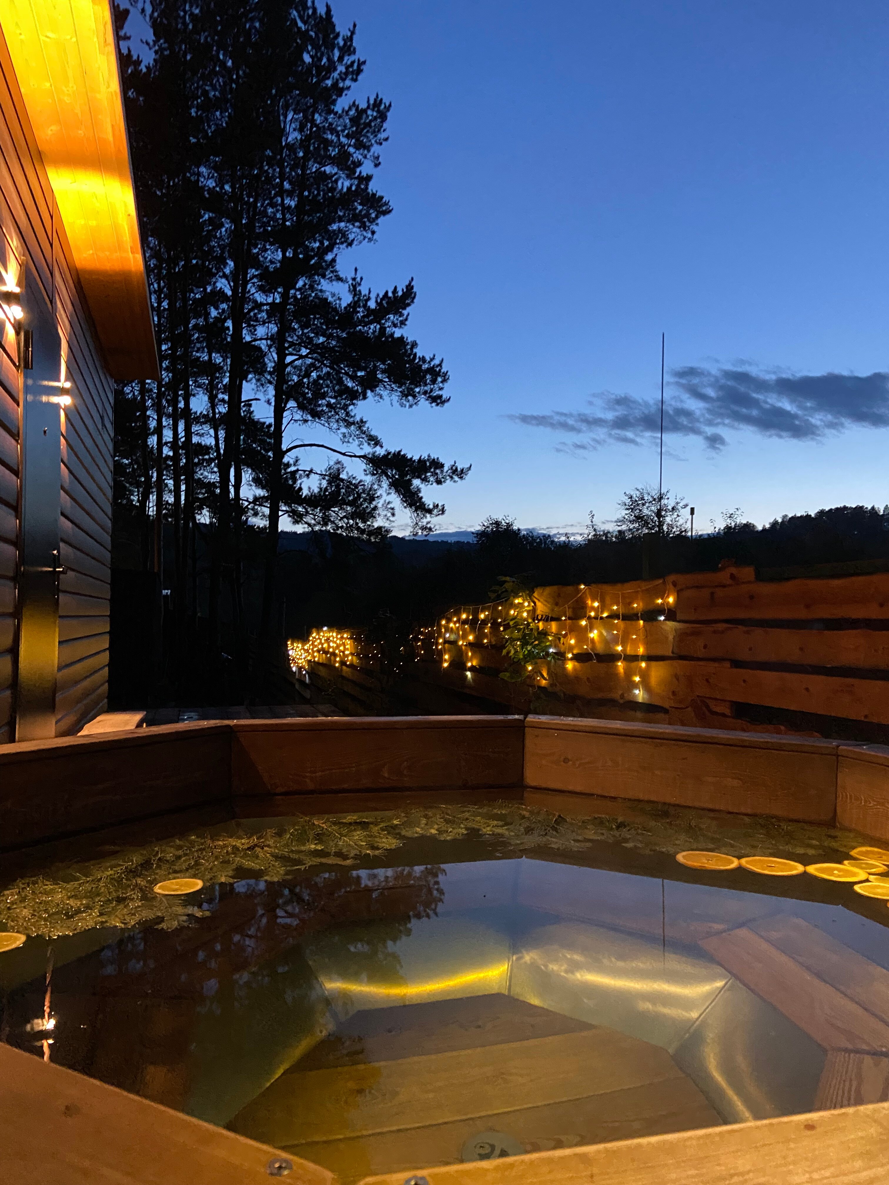 Фото Шалаш парк