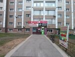 Zerde (Bauyrjan Momyşūly dañğyly, 19) ، مركز تعليمي