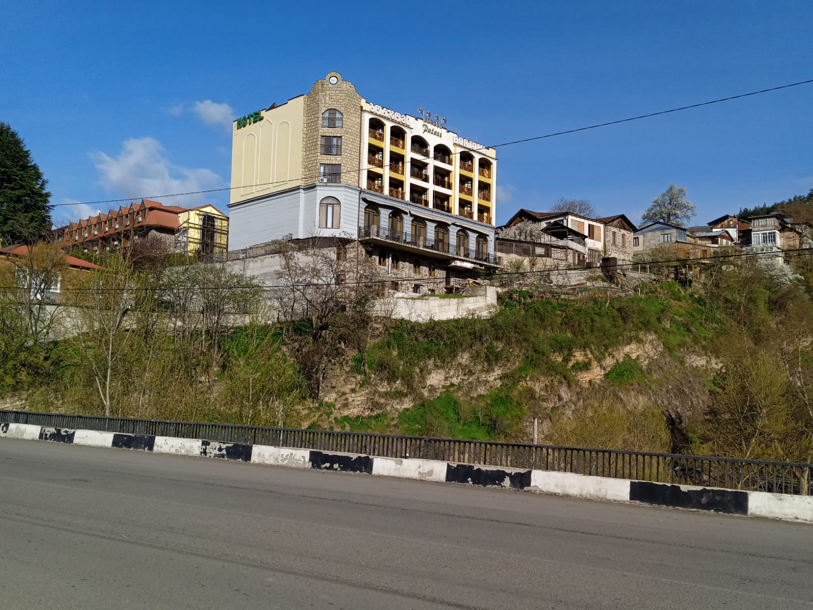 Фото Borjomi Palace