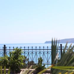 Фото Авокадо