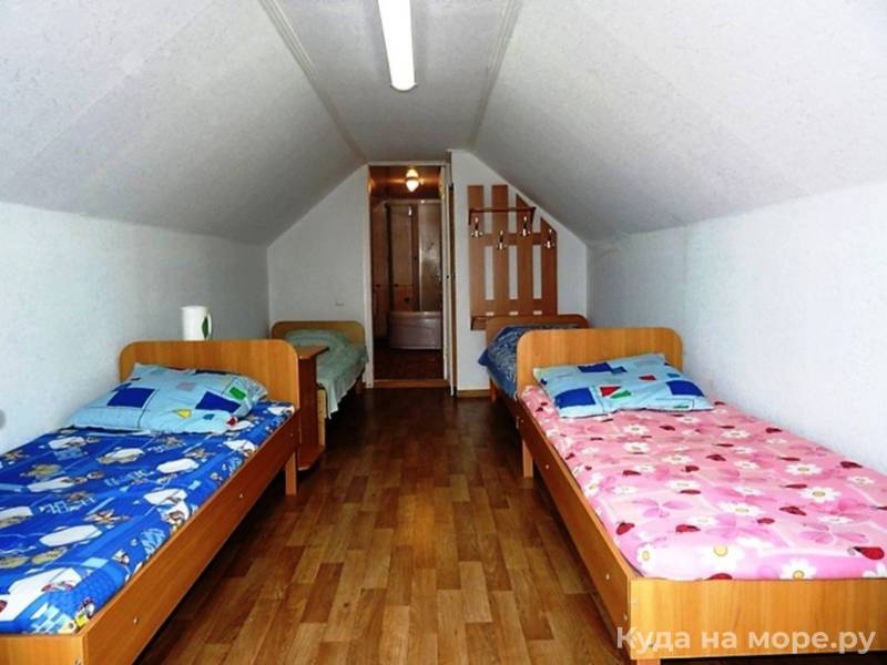 Фото Белая Чайка