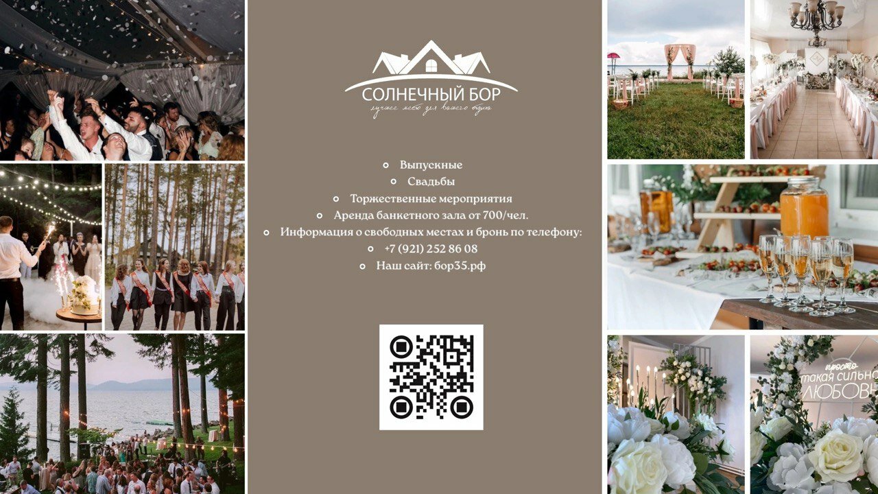 Фото Солнечный бор