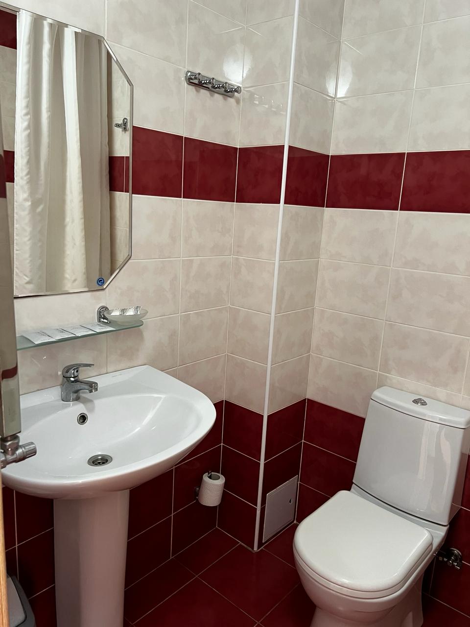 Фото Орхидея