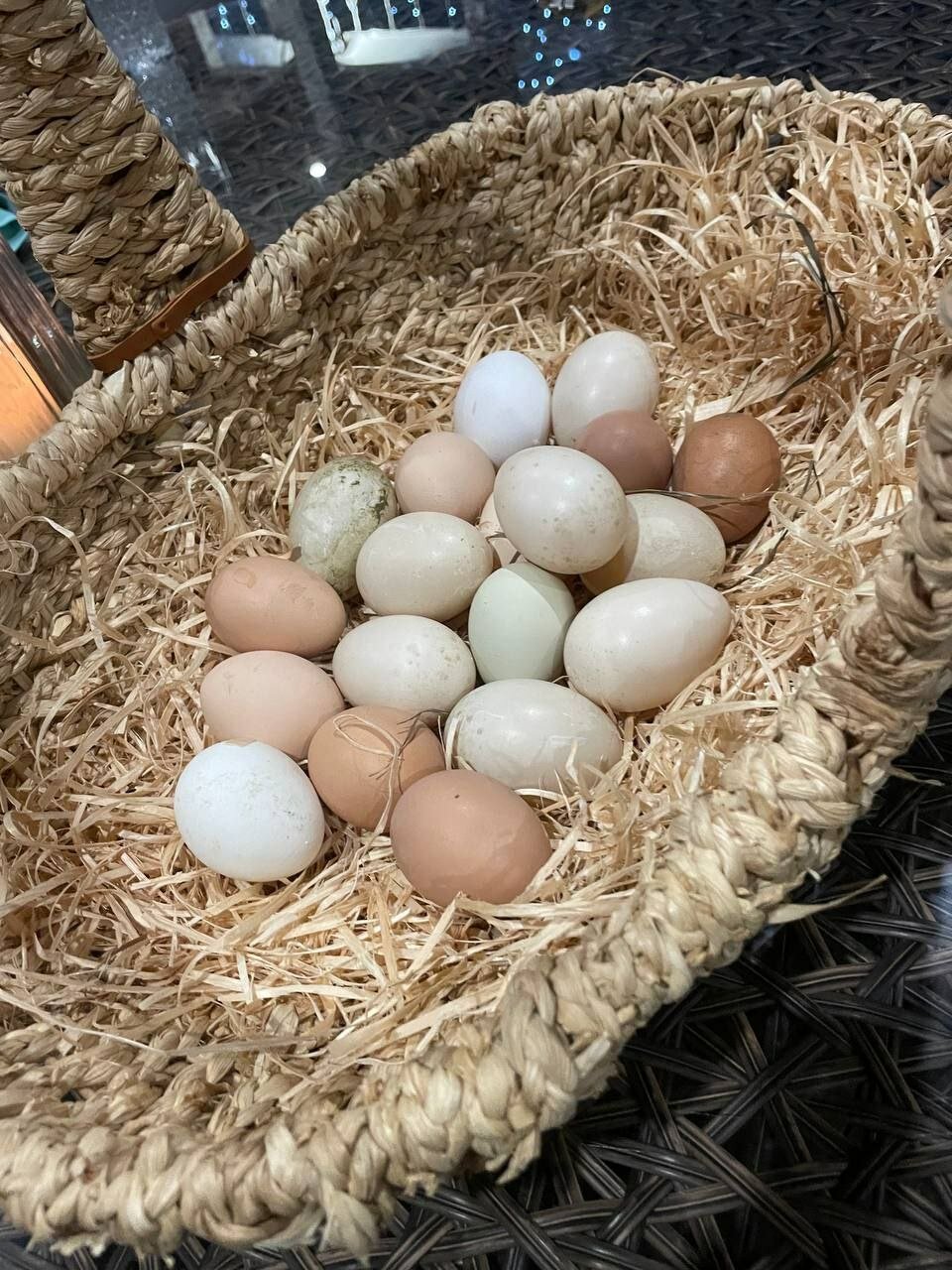 Фото Просто Эко