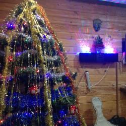 Фото Лукоморье