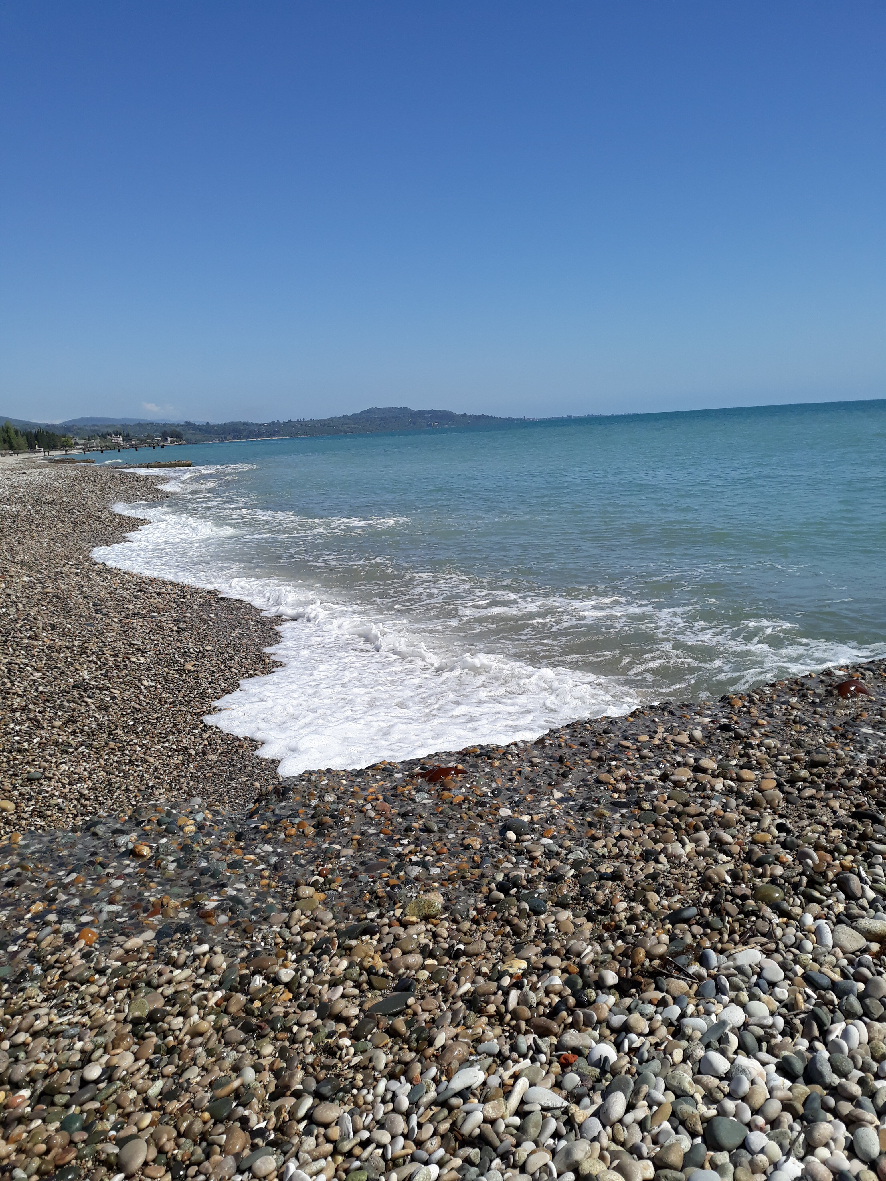 Фото Отель Грифон