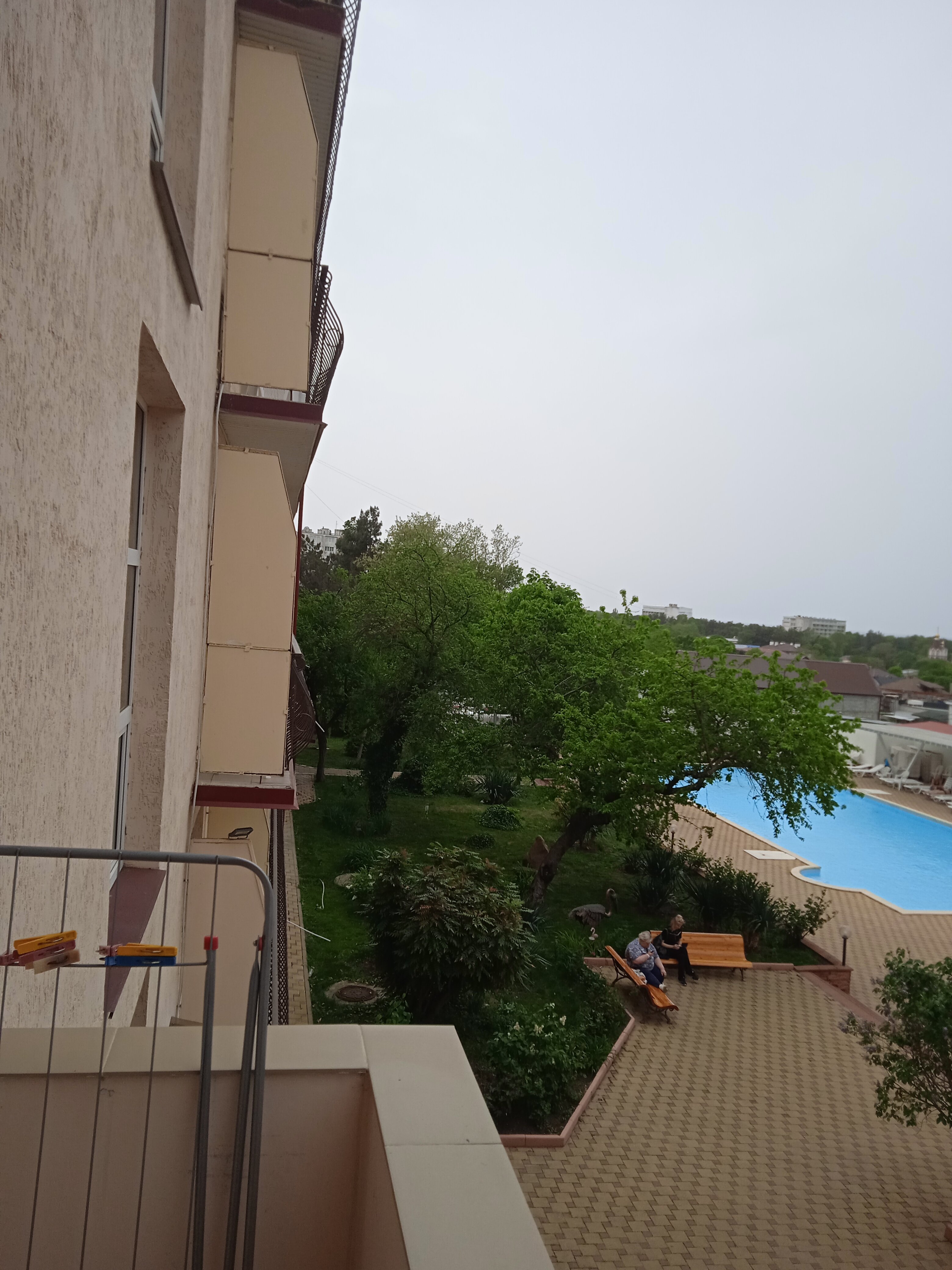 Фото Фламинго