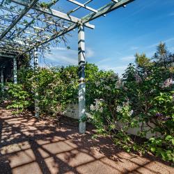 Фото Бон Мезон