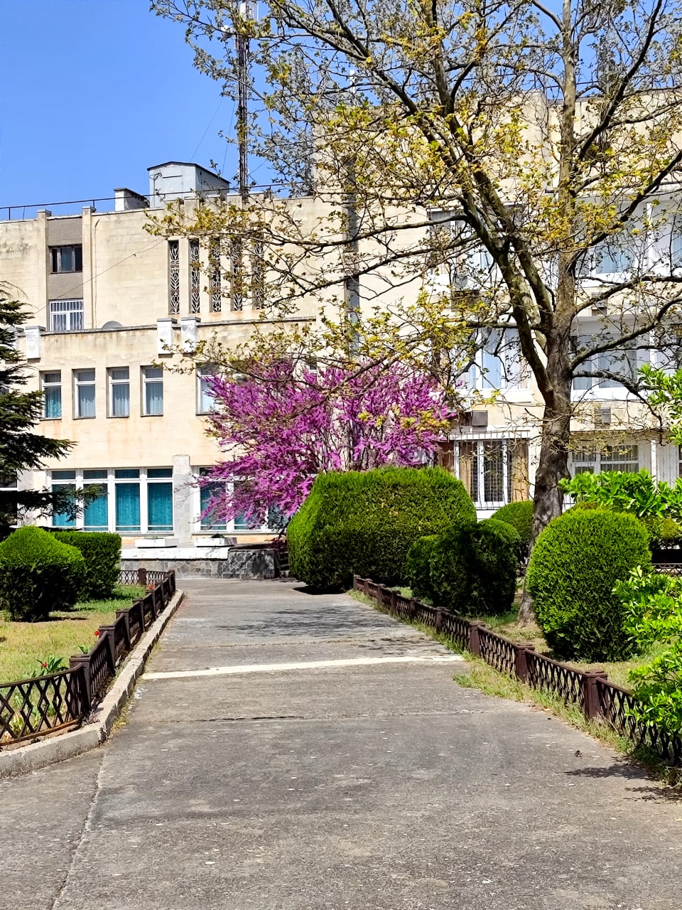 Фото Северный