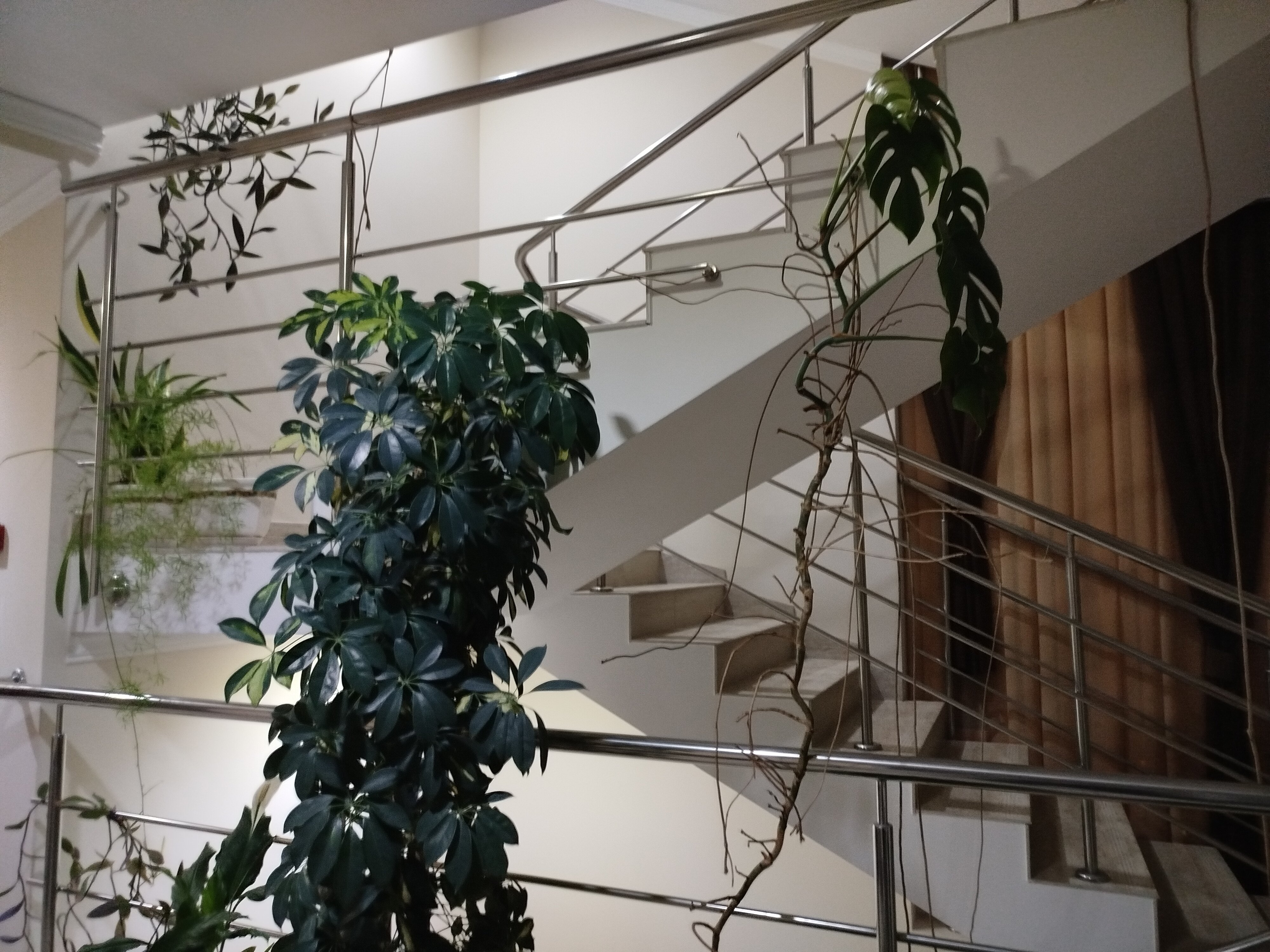 Фото Кайрос