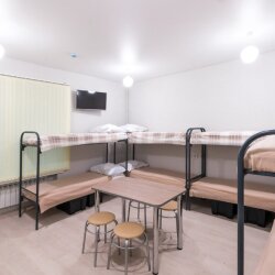 Фото Поживика