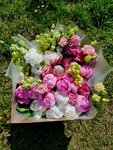 Pion (Bolshaya Moskovskaya Street, 122), flower shop