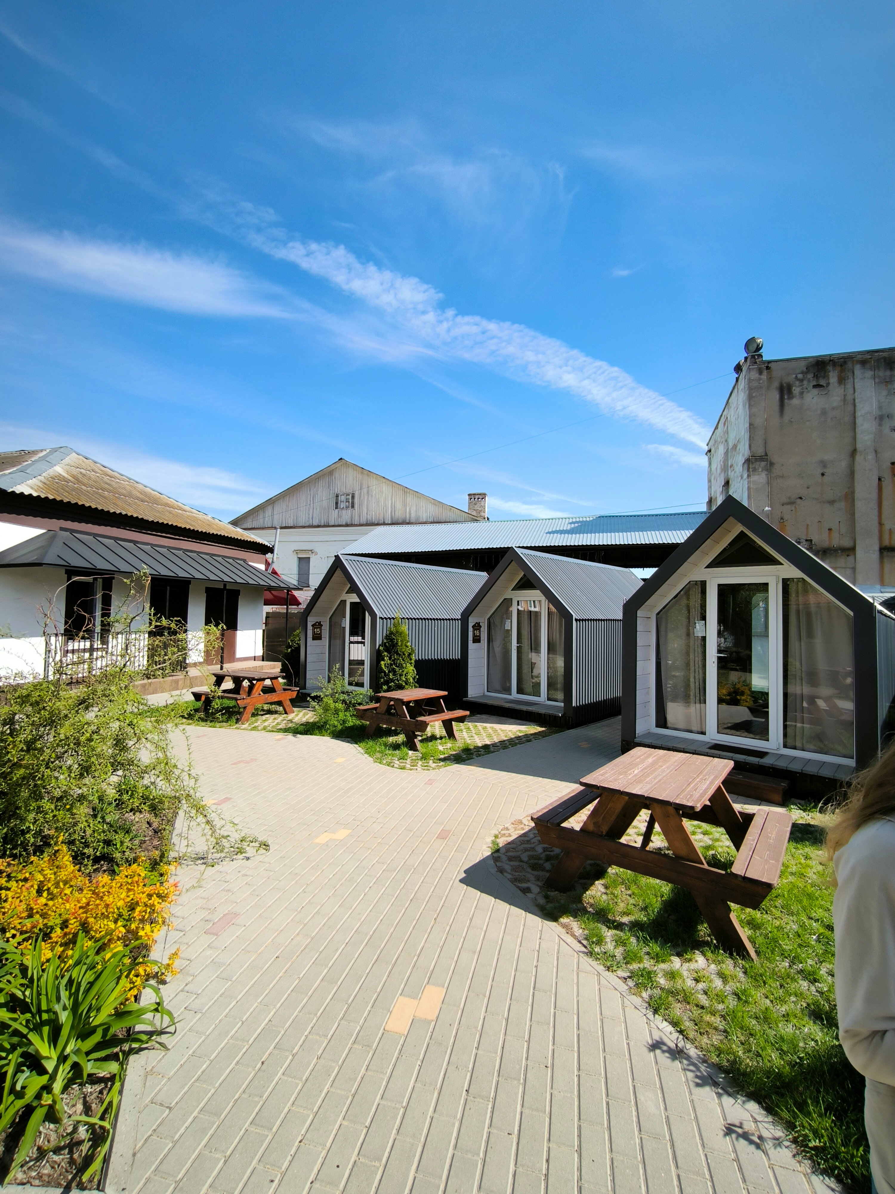 Фото Два гуся