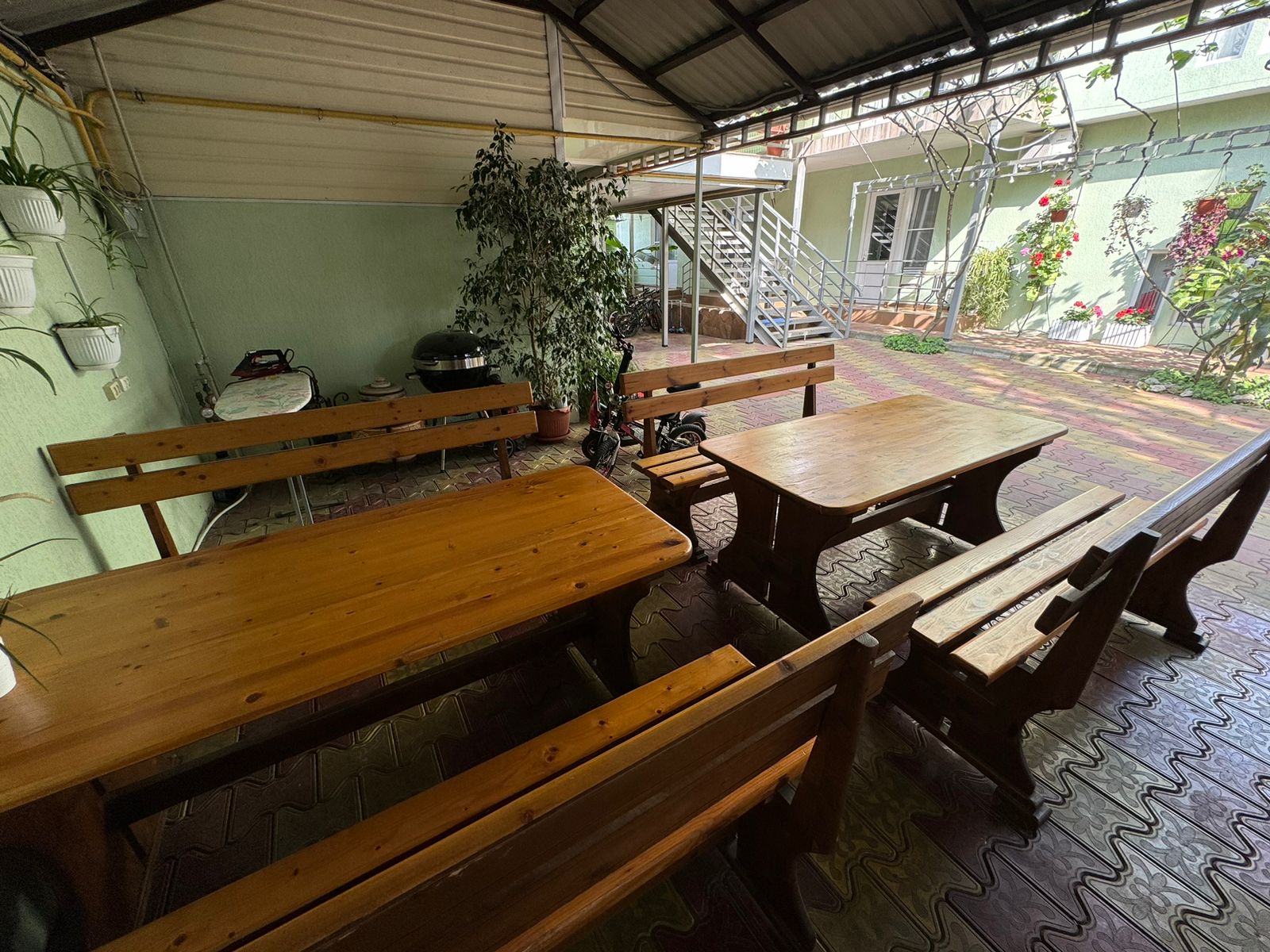 Фото Тростник